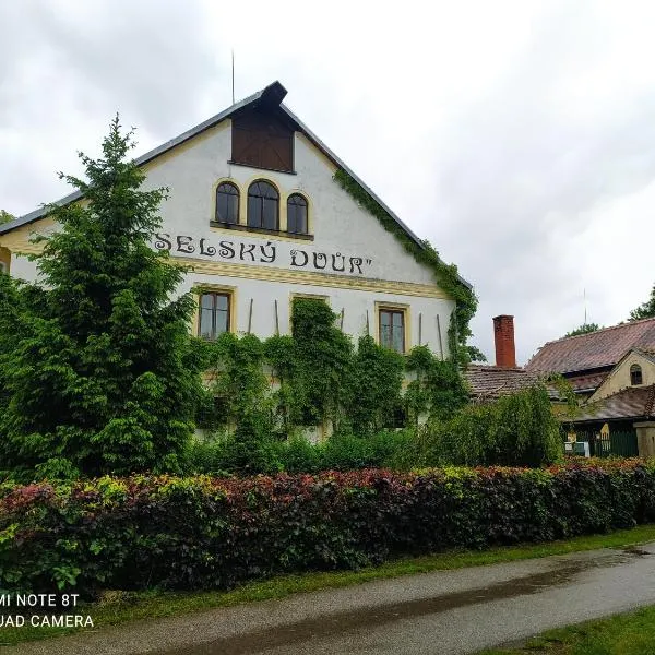 Penzion selský dvůr, Hotel in Raspenava