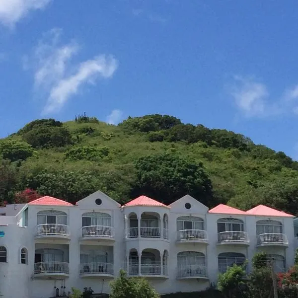 Fort Burt Hotel, hotel in Little Carrot Bay