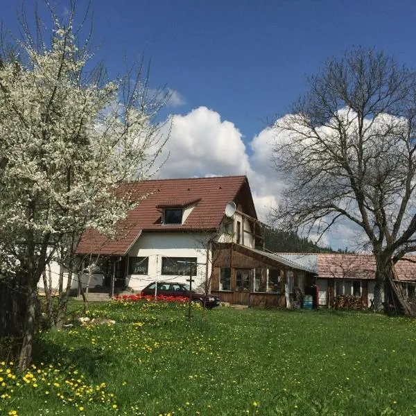 Karacsony Guest House, hotel en Păltiniş-Ciuc