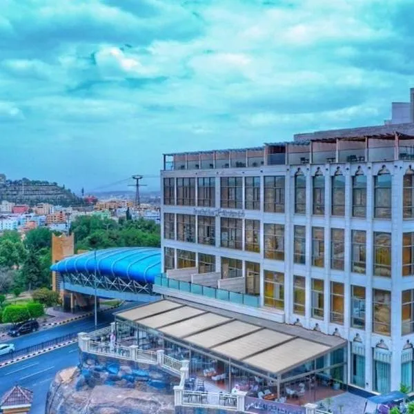Sarwat Park Hotel、アブハのホテル