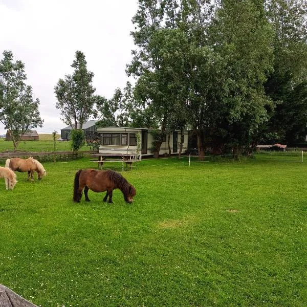 De Boerenskuur..chalet.. – hotel w mieście Assendelft