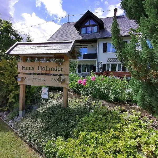 Studio Holunder Weissbriach, hotel v destinaci Weissbriach