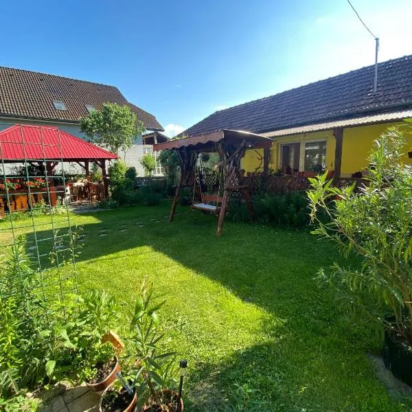 Casa Otilia、ハツェグのホテル