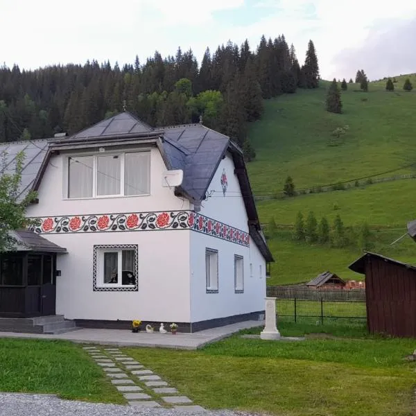 Casa Dumitru si Elena Ciocanesti Bucovina, hotel in Ciocăneşti