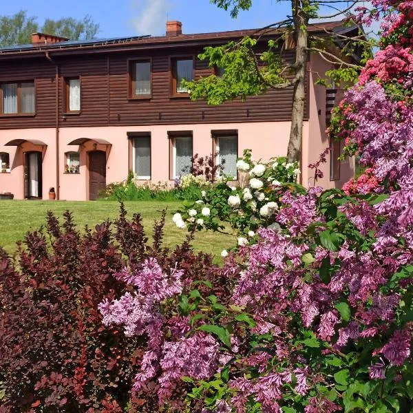 Dom Gościnny Przy Jeziorze，Łokciowe的飯店