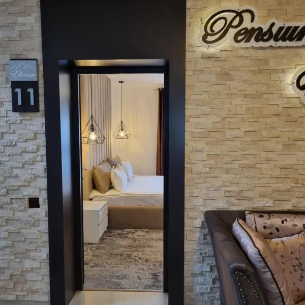Pensiunea Ellemar, hotel in Vatra Dornei