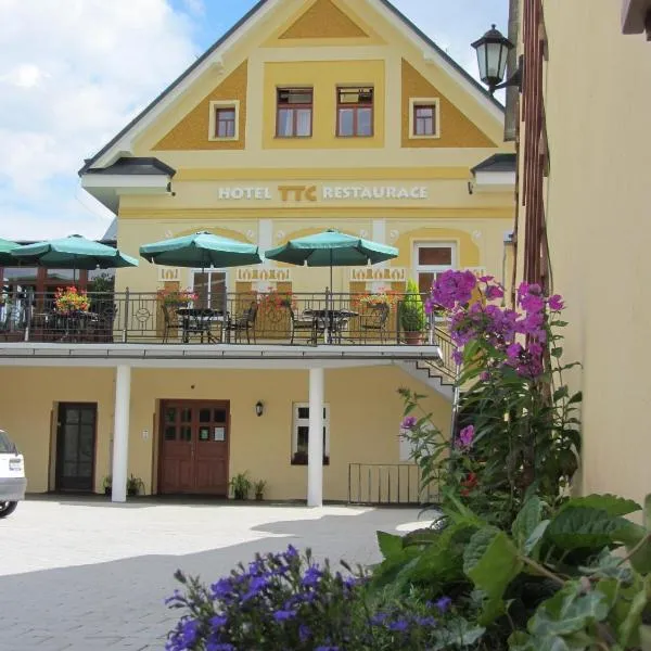 Wellness & Sport Hotel TTC, hotel ve Vrchlabí