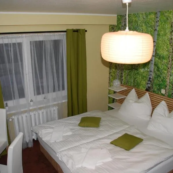 CASILINO Hotel A 24 Wittenburg, готель у місті Hagenow