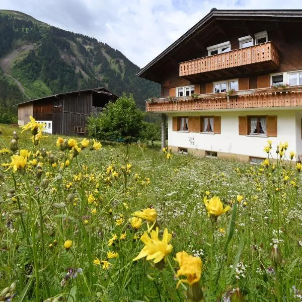 Appartements Willi, hotel v destinaci Schoppernau