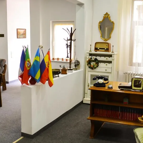 Casa Transilvania, hotel in Satu Mare