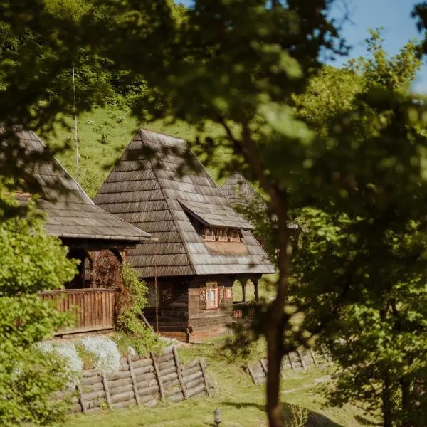Raven's Nest - The Hidden Village, Transylvania - Romania, hotel en Colţeşti