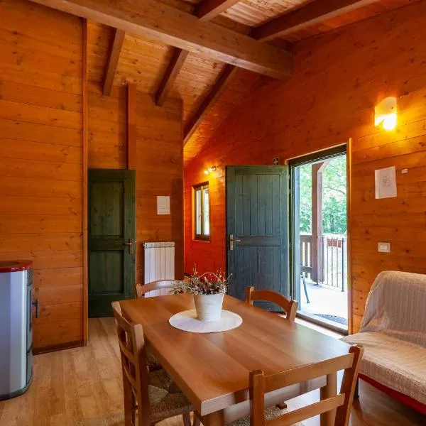 Villaggio Anemone - Chalet Mirtillo – hotel w mieście Capanne di Sillano