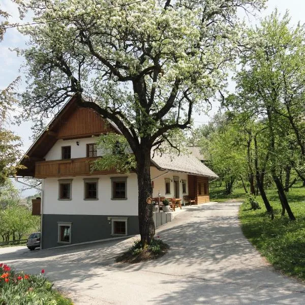 Farm Stay Dolinar Krainer, hôtel à Bohinjska Bela