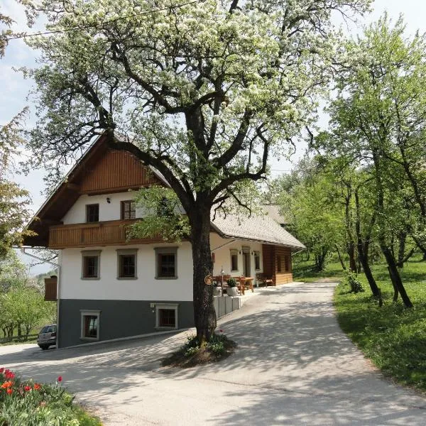 Farm Stay Dolinar Krainer: Bohinjska Bela şehrinde bir otel