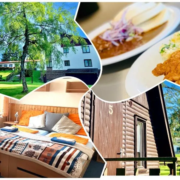 Hotel a Penzion PEGAS, hotel v destinaci Vlachovice