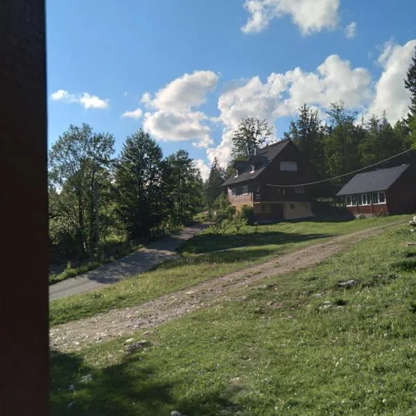 Casa din Poiană, hotel v destinaci Hănăşeşti