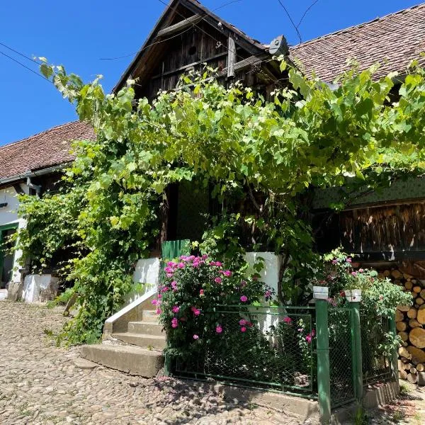 Saschiz 130/Lodging and Glamping, Hotel in Saschiz