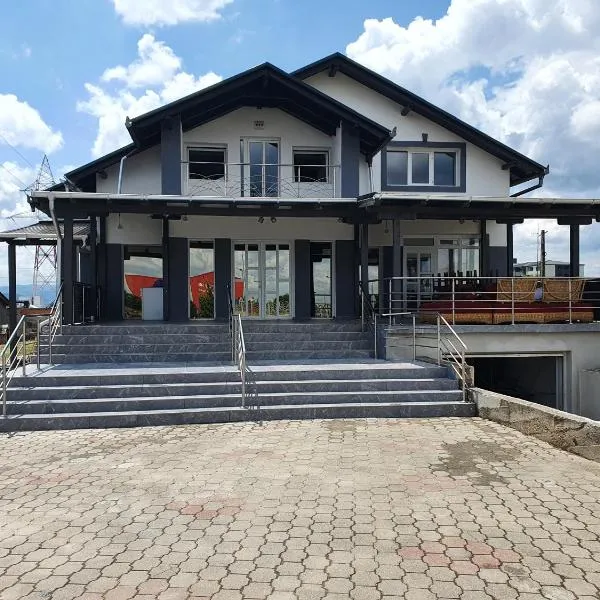 Casa Erika, hotel v destinaci Sebeş