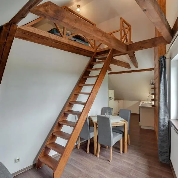 Blatenský House 393 - Apartmá 3, hotel di Abertamy