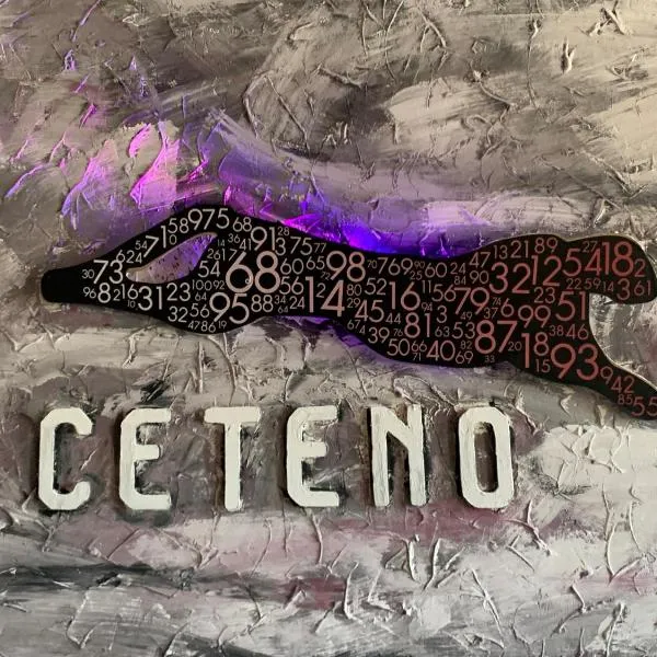Hotel Ceteno, hotel a Wunstorf