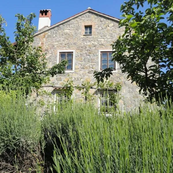 A lovely house in Vipava valley: Vipava şehrinde bir otel