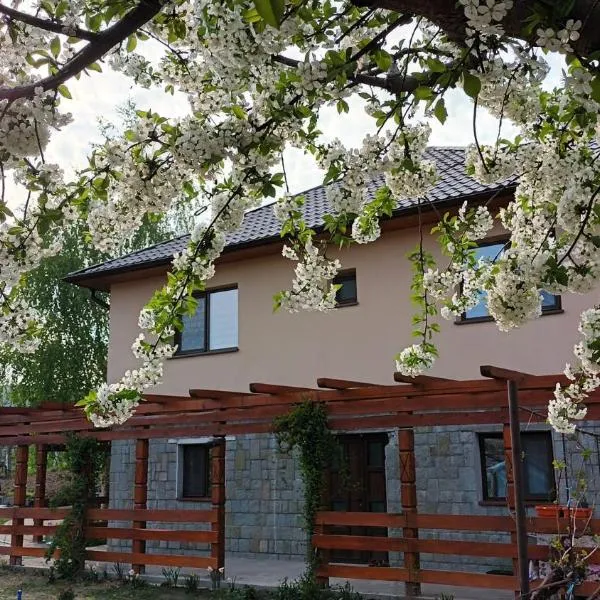 Agropensiunea-Alexandra, hotel a Balabancea