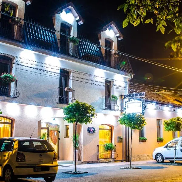 Hotel-Pensiunea Zefir, hotel v destinaci Temešvár