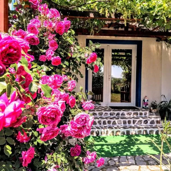 Teo Guest Rooms, ξενοδοχείο σε Baile Felix