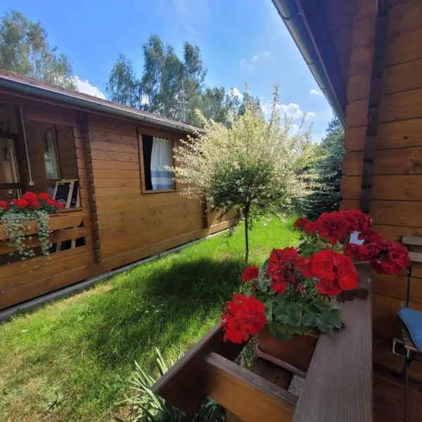 Camping Family, hotel v destinaci Bronowice