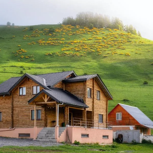 Snow Time Eco Chalet, hotel in Gudauri