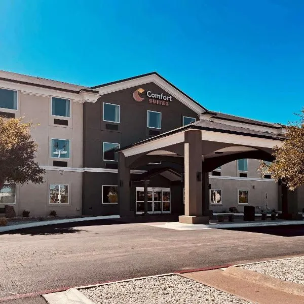 Comfort Suites San Angelo near University，聖安吉洛的飯店