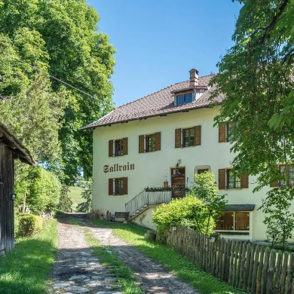Sallrain Hof Apartment 1, hotel v destinaci Collalbo