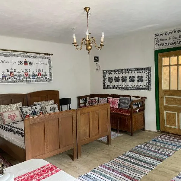Saschiz 175 GuestHouse, hotel in Saschiz