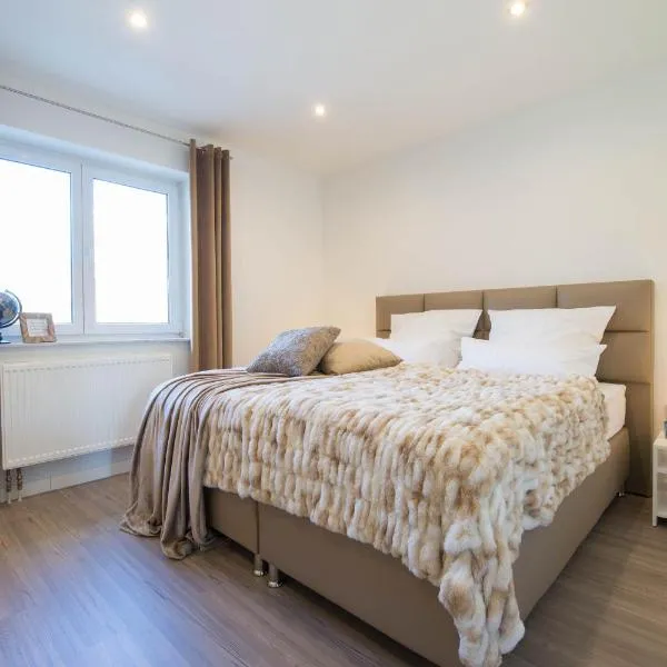 Luxury Luisenthal, hotel en Völklingen