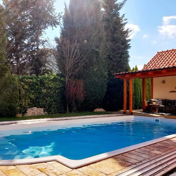 Canadian style house with 3D effect pool, hotel in Vinosady