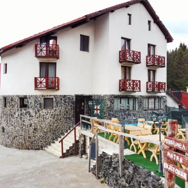 Pensiunea Piatra Graitoare, hotel u gradu Vartop