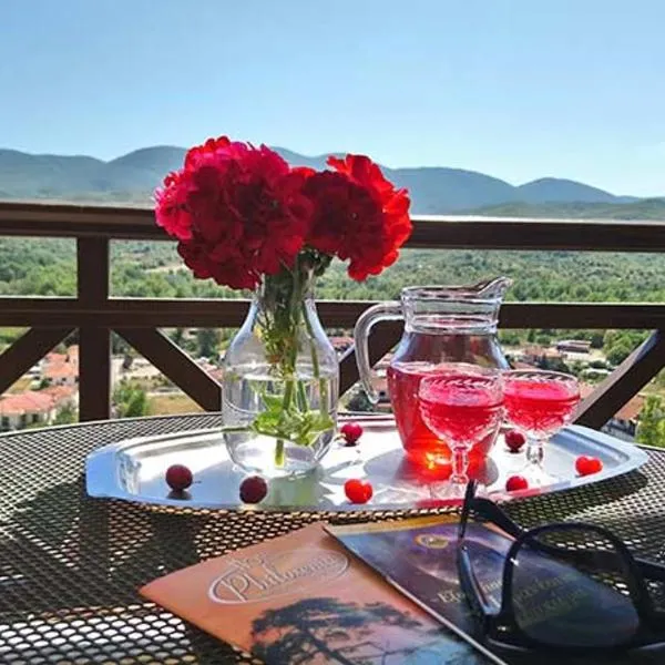 Philoxenia Hotel, hotell sihtkohas Paranesti
