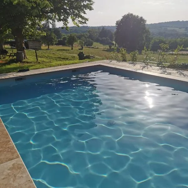 Manoir Vaillant Gîte au cœur du Périgord noir, hotel in Monplaisant