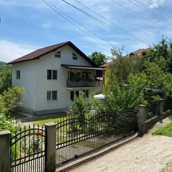 Vila Ela, BAILE GOVORA, hotel v destinaci Băile Govora
