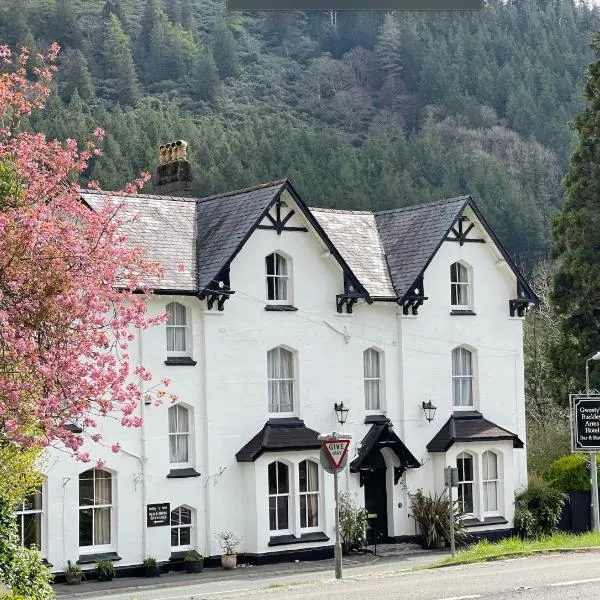 The Buckley Arms、ディナス・マウズイのホテル