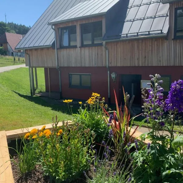 Blackforest Homestay Apartments, hotel in Herrischried