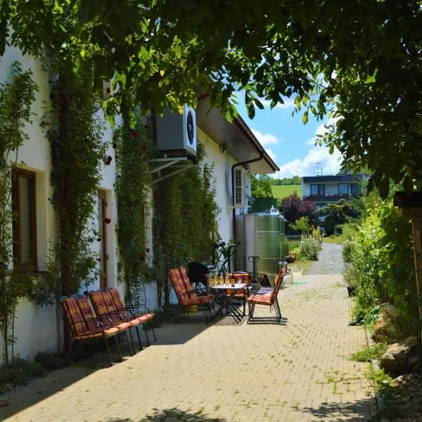 Penzion v rodinném vinařství Kadubcovi, hotel in Kuželov