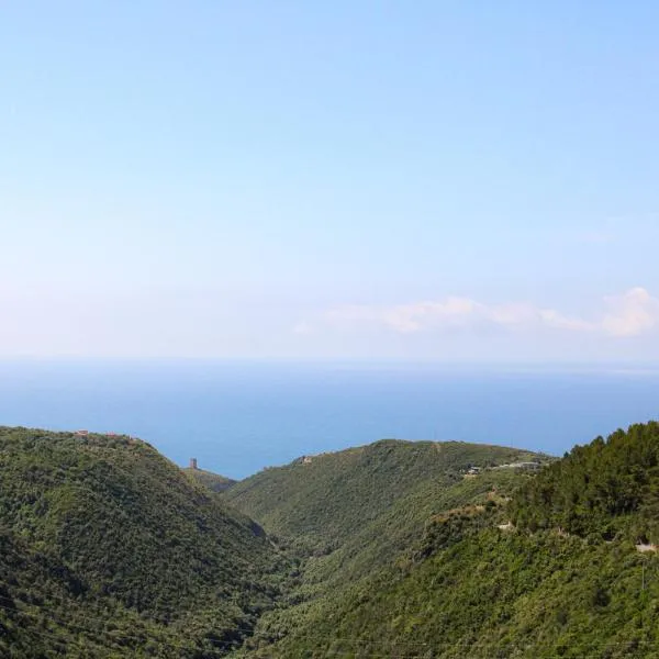 Affittacamere Pantaleone, hotell sihtkohas Camerota