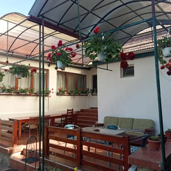 Elza Guesthouse, hotel in Ocoliş