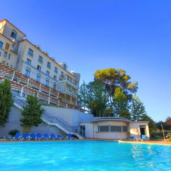 LAM Hotel Estarreja, hotel in Estarreja