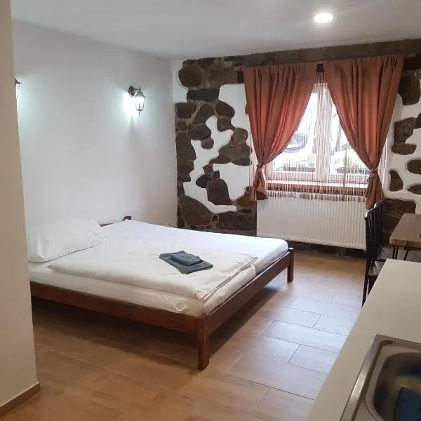 Penzion na statku Březová, hotel din Kynšperk nad Ohří