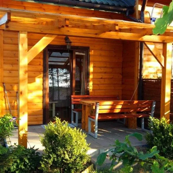 Domek apartament w Puszczy Augustowskiej, hotel v destinácii Płaska