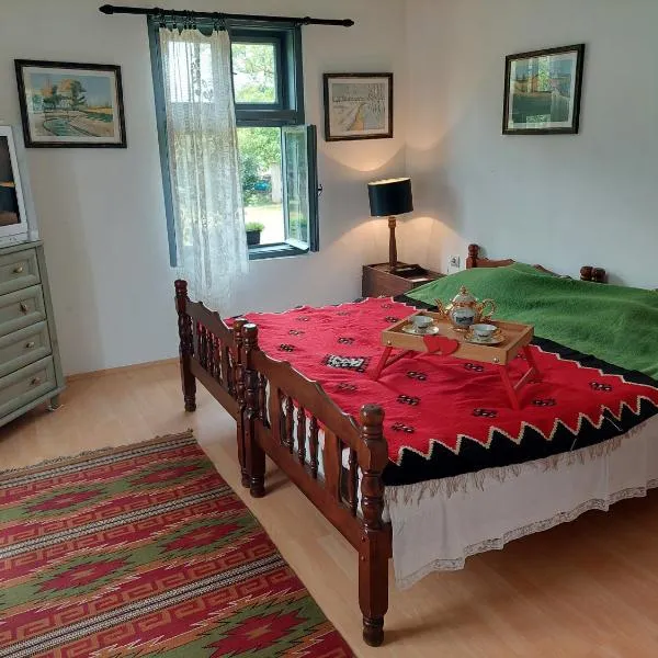 Apartmani Petkovic 226, hotel in Velika Drenova
