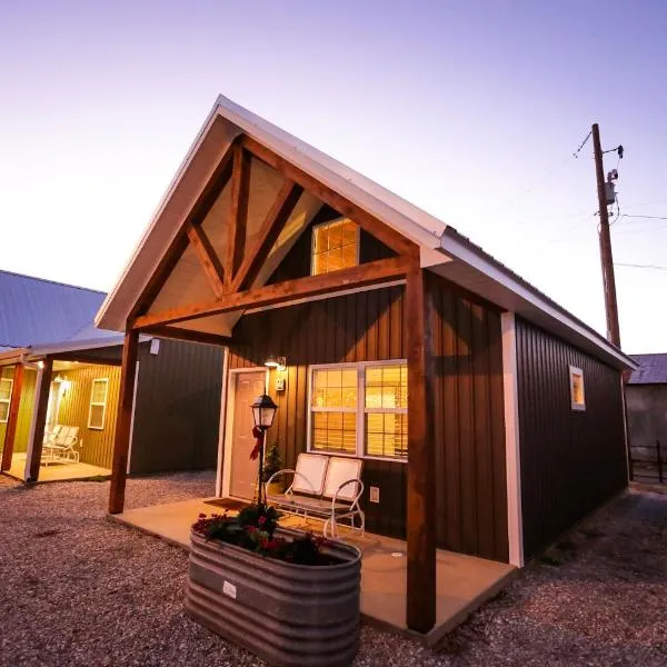 Knotty Squirrel Cabins, hotel di Mountain View