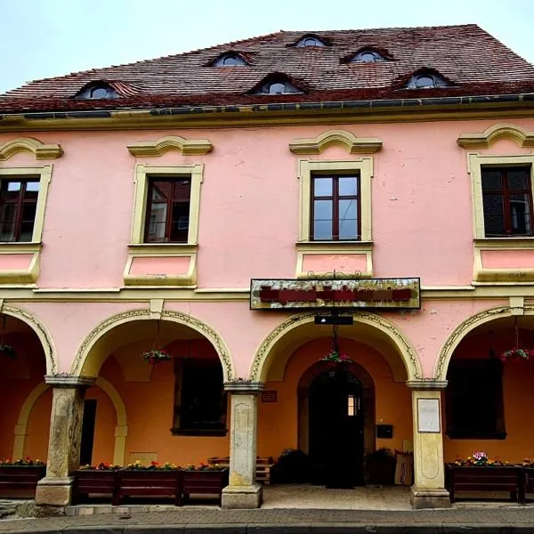 SUKIENNICE MIĘDZYLESIE, hotel in Międzylesie